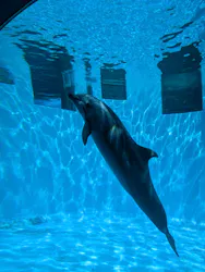 名古屋港水族館に投稿された画像（2026/4/27）