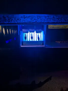 名古屋港水族館に投稿された画像（2026/4/27）