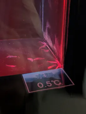 名古屋港水族館に投稿された画像（2026/4/27）