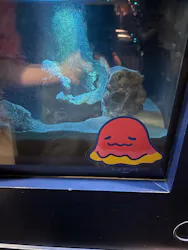 新江ノ島水族館に投稿された画像（2026/4/27）