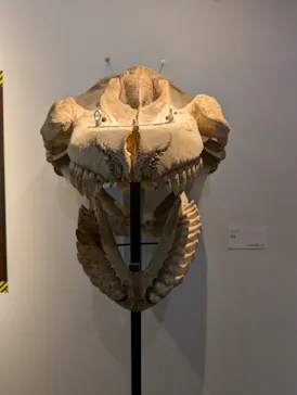 特別展「超危険生物展　科学で挑む生き物の本気」に投稿された画像（2026/4/27）