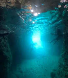 武藤潜水に投稿された画像（2026/4/27）