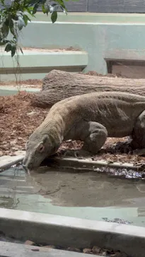 名古屋市東山動植物園に投稿された画像（2026/4/27）