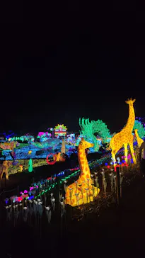 伊豆高原グランイルミに投稿された画像（2026/4/27）