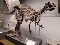 福井県立恐竜博物館に投稿された画像（2026/4/27）