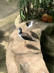 那須どうぶつ王国に投稿された画像（2026/4/27）