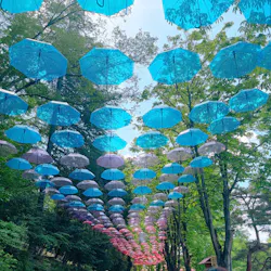 ムーミンバレーパークに投稿された画像（2026/4/27）