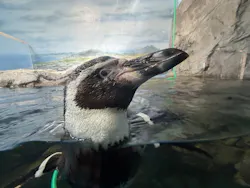 新江ノ島水族館に投稿された画像（2026/4/27）