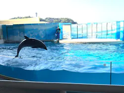 新江ノ島水族館に投稿された画像（2026/4/27）
