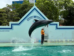 しながわ水族館に投稿された画像（2026/4/27）