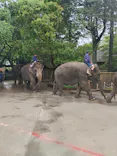 ANIMAL WONDER REZOURT 市原ぞうの国・サユリワールドに投稿された画像（2026/4/27）
