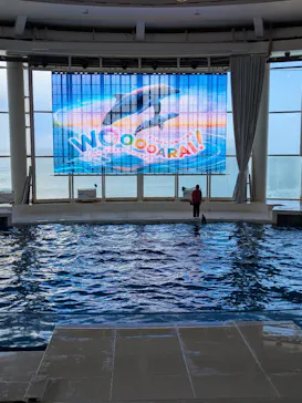 アクアワールド茨城県大洗水族館に投稿された画像（2026/4/27）