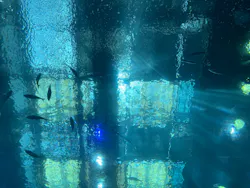 沖縄美ら海水族館に投稿された画像（2026/4/27）