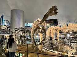 福井県立恐竜博物館に投稿された画像（2026/4/27）