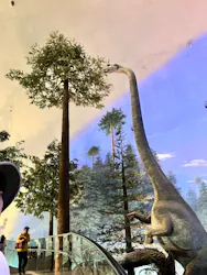 福井県立恐竜博物館に投稿された画像（2026/4/27）