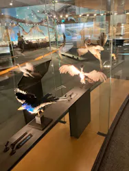 福井県立恐竜博物館に投稿された画像（2026/4/27）