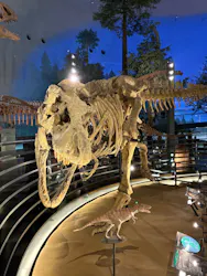 福井県立恐竜博物館に投稿された画像（2026/4/27）