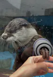 ゼロ距離水族館 伊勢シーパラダイスに投稿された画像（2026/4/27）
