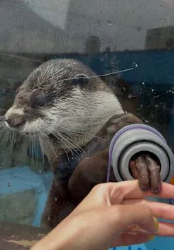 ゼロ距離水族館 伊勢シーパラダイスに投稿された画像（2026/4/27）