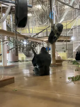 名古屋市東山動植物園に投稿された画像（2026/4/27）