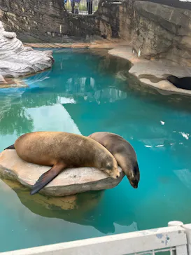 名古屋市東山動植物園に投稿された画像（2026/4/27）
