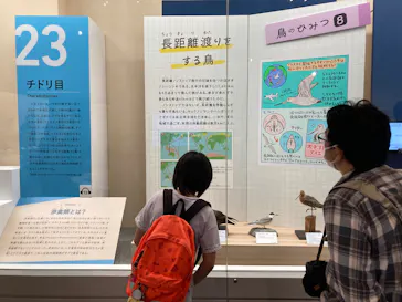 特別展「鳥 ～ゲノム解析が解き明かす新しい鳥類の系統～」に投稿された画像（2026/4/27）
