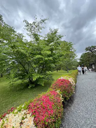 元離宮二条城に投稿された画像（2026/4/27）