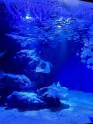 マクセル アクアパーク品川に投稿された画像（2026/4/27）