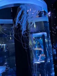 マクセル アクアパーク品川に投稿された画像（2026/4/27）