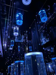 マクセル アクアパーク品川に投稿された画像（2026/4/27）