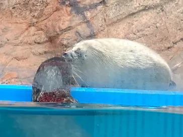 ゼロ距離水族館 伊勢シーパラダイスに投稿された画像（2026/4/27）