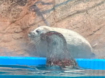 ゼロ距離水族館 伊勢シーパラダイスに投稿された画像（2026/4/27）