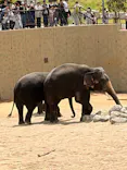 天王寺動物園に投稿された画像（2026/4/27）