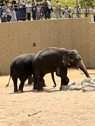 天王寺動物園に投稿された画像（2026/4/27）
