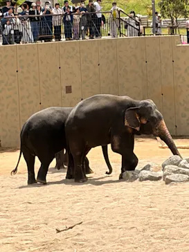 天王寺動物園に投稿された画像（2026/4/27）