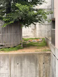 天王寺動物園に投稿された画像（2026/4/27）