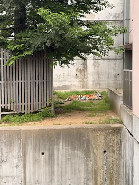 天王寺動物園に投稿された画像（2026/4/27）