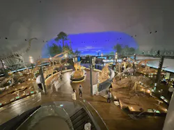 福井県立恐竜博物館に投稿された画像（2026/4/27）