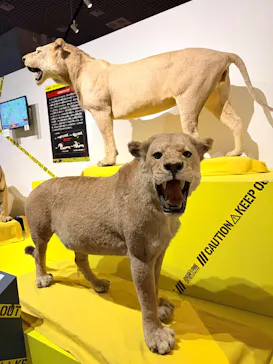 特別展「超危険生物展　科学で挑む生き物の本気」に投稿された画像（2026/4/27）