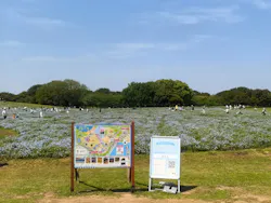 マリンワールド海の中道に投稿された画像（2026/4/27）