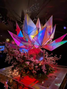 NARA KINGYO MUSEUMに投稿された画像（2026/4/27）