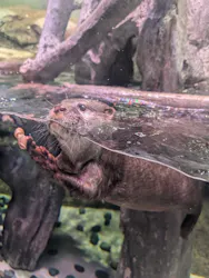 マクセル アクアパーク品川に投稿された画像（2026/4/27）