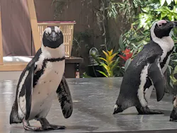 マクセル アクアパーク品川に投稿された画像（2026/4/27）