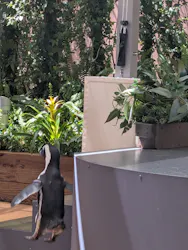 マクセル アクアパーク品川に投稿された画像（2026/4/27）