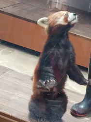 横浜・八景島シーパラダイスに投稿された画像（2026/4/27）