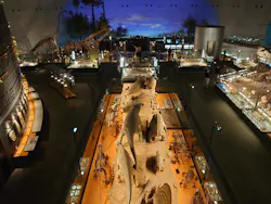 福井県立恐竜博物館に投稿された画像（2026/4/27）