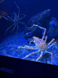 サンシャイン水族館に投稿された画像（2026/4/27）