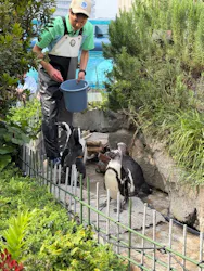 サンシャイン水族館に投稿された画像（2026/4/27）