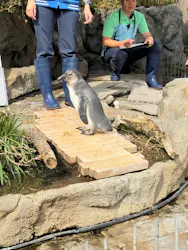 サンシャイン水族館に投稿された画像（2026/4/27）