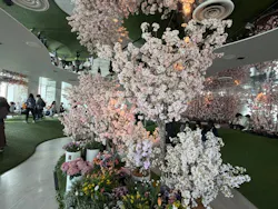 サンシャイン60展望台に投稿された画像（2026/4/27）